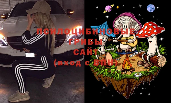 ГАЛЛЮЦИНОГЕННЫЕ ГРИБЫ Алексеевка