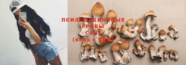 ГАЛЛЮЦИНОГЕННЫЕ ГРИБЫ Алексеевка