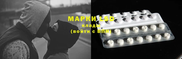 гашик Сафоново