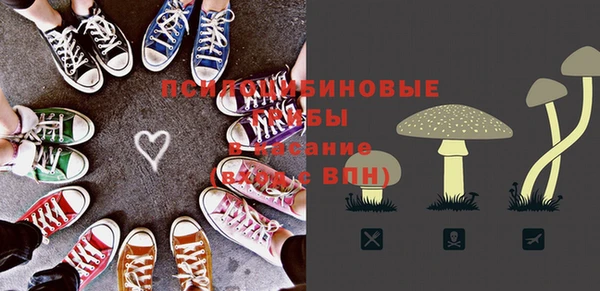 ГАЛЛЮЦИНОГЕННЫЕ ГРИБЫ Алексеевка