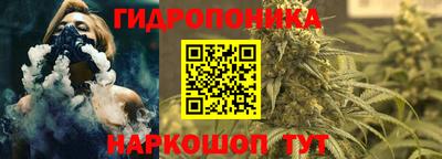 стаф Ефремов