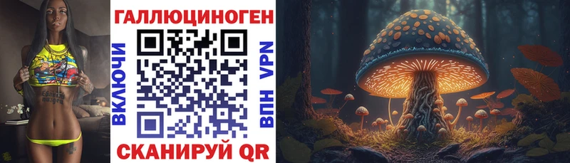 Псилоцибиновые грибы прущие грибы  даркнет сайт  Губкин 