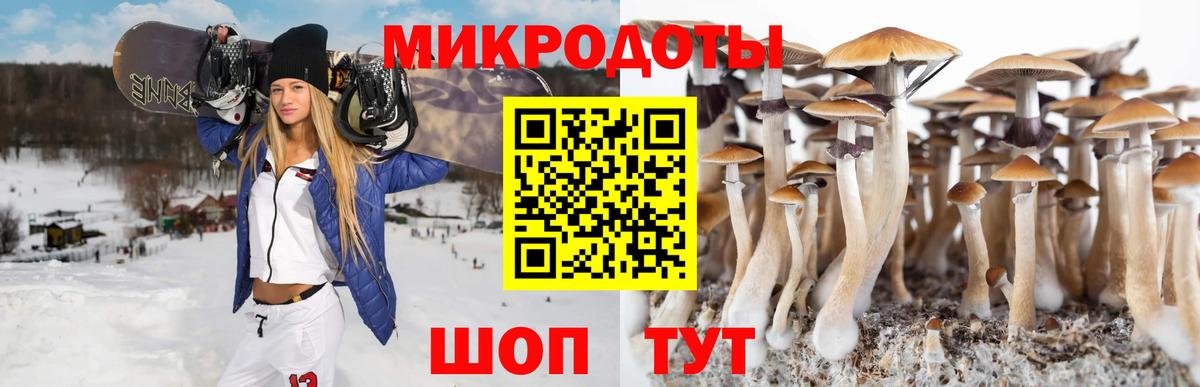 Псилоцибиновые грибы MAGIC MUSHROOMS Губкин